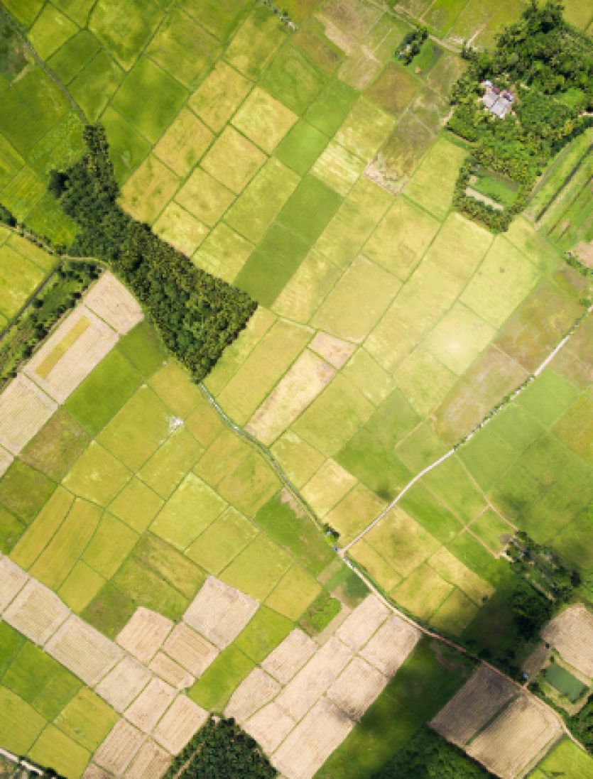 A Land field from sky