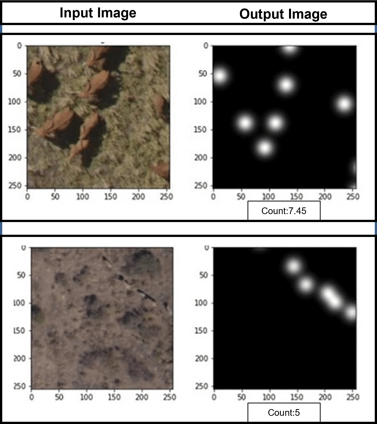 Input Output Images for the Counting Results